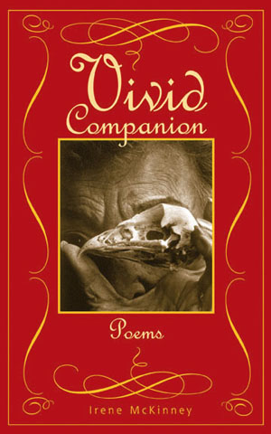 Vivid Companion
