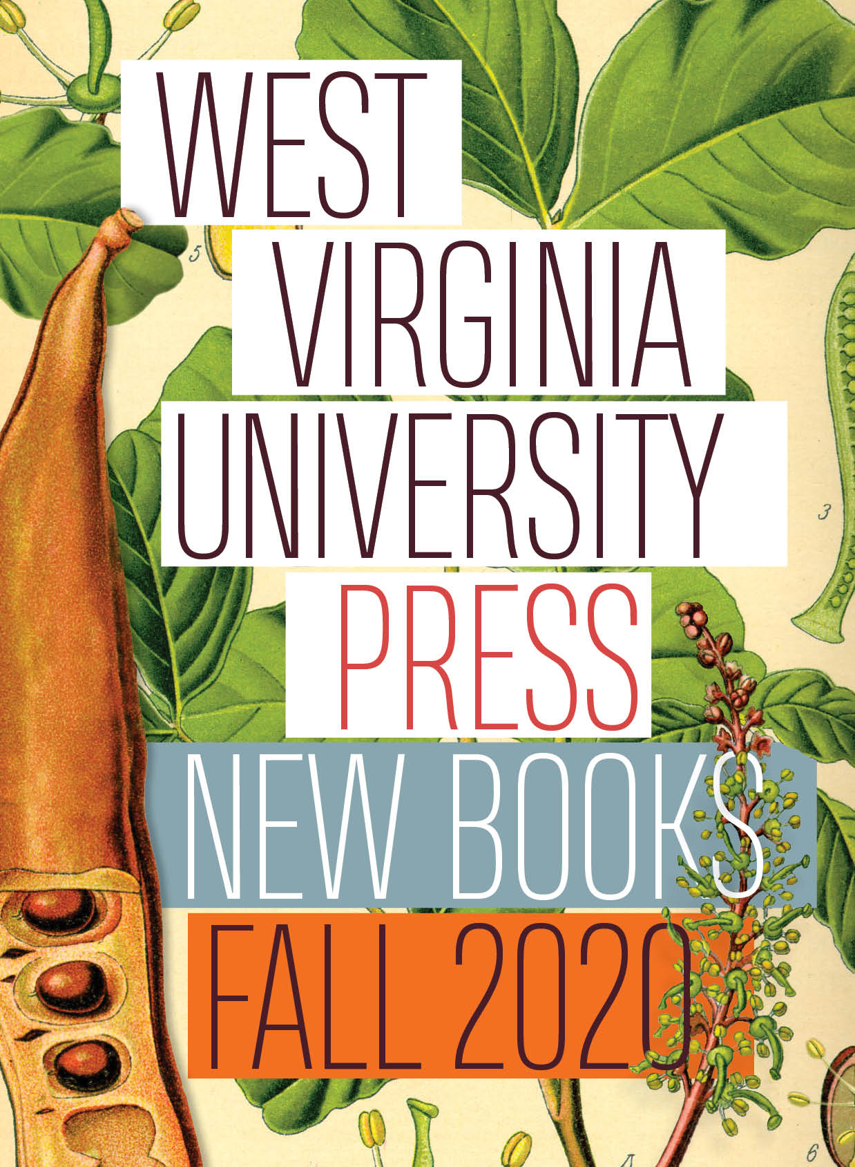 WVU Press Fall 2020 New Books Catalog